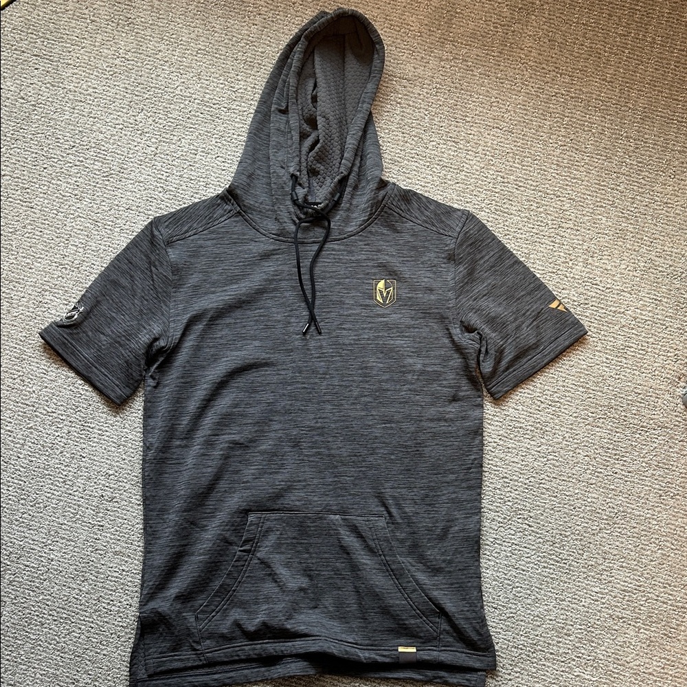 Men's Vegas Golden Knights Fanatics Authentic Pro Short Sleeve Pullover Hoodie